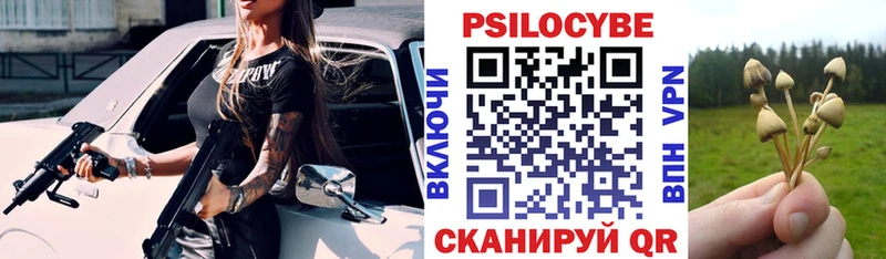 что такое   Цивильск  Псилоцибиновые грибы Cubensis 